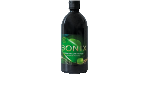 Моющее средство для посуды Bonix "Зеленое яблоко" (500 мл)